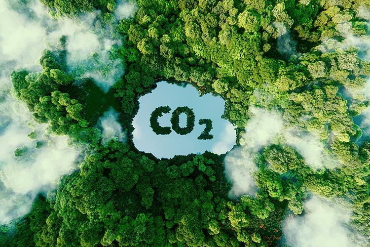 環境部即將公告碳費，政府鼓勵SBTi科學減碳；
SBTi中小企業簡化版新上線，科學基礎減碳將成為主流!!